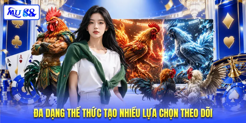 Đa dạng thể thức tạo nhiều lựa chọn theo dõi